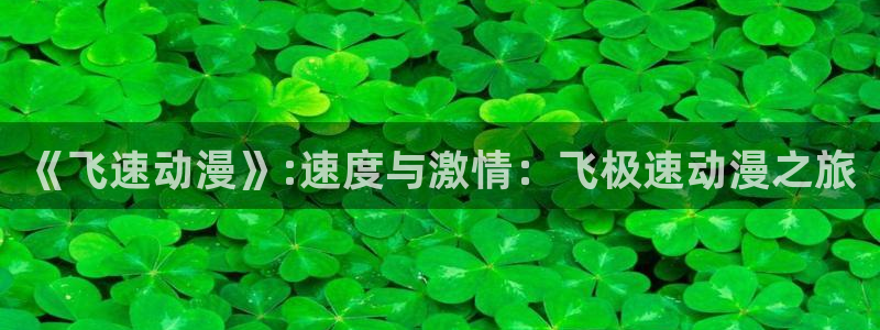 里番动漫在线观看视频：《飞速动漫》:速度与激情：飞极速动漫之旅