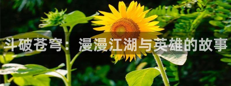 触手里番动漫：斗破苍穹：漫漫江湖与英雄的故事