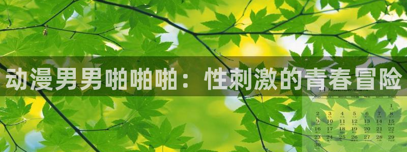 里番动漫在线观看免费完整视频：动漫男男啪啪啪：性刺激的青春冒险