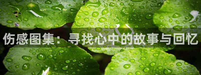 里番动漫在线免费：伤感图集：寻找心中的故事与回忆