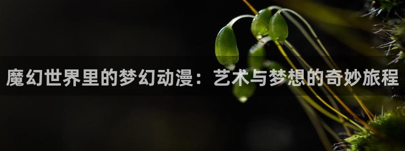 里番动漫在线免费：魔幻世界里的梦幻动漫：艺术与梦想的奇妙旅程